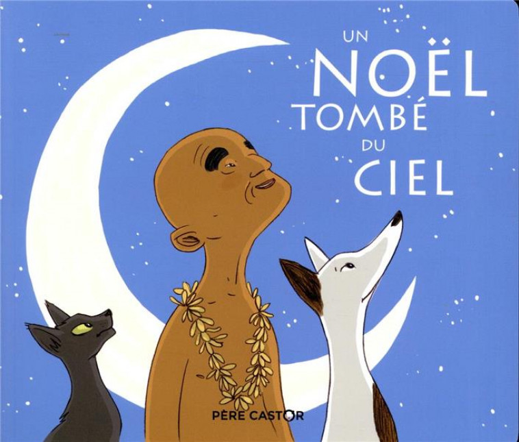 UN NOEL TOMBE DU CIEL - BERTRON-MARTIN - FLAMMARION