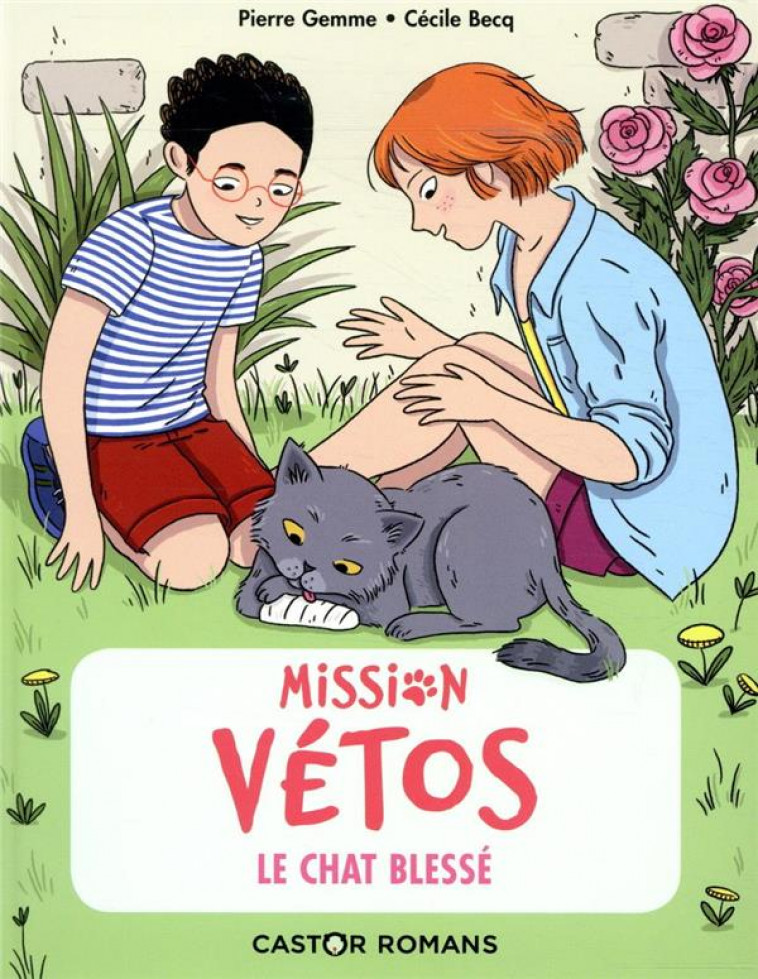 MISSION VETOS - T05 - LE CHAT BLESSE - GEMME/BECQ - FLAMMARION