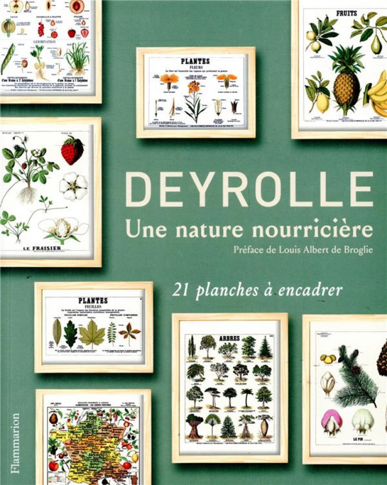 DEYROLLE - UNE NATURE NOURRICIERE - ILLUSTRATIONS, COULEUR - COLLECTIF/BROGLIE - FLAMMARION