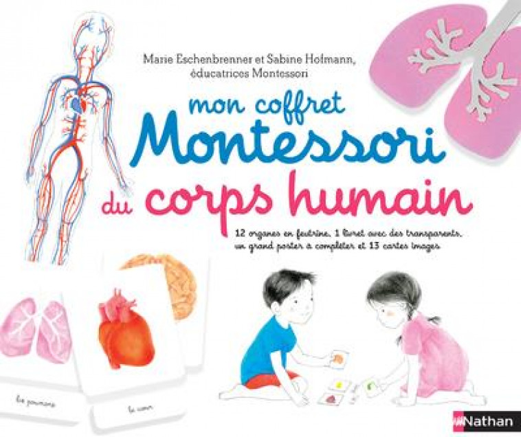 MON COFFRET MONTESSORI DU CORPS HUMAIN - HOFMANN/ROCCHI - CLE INTERNAT