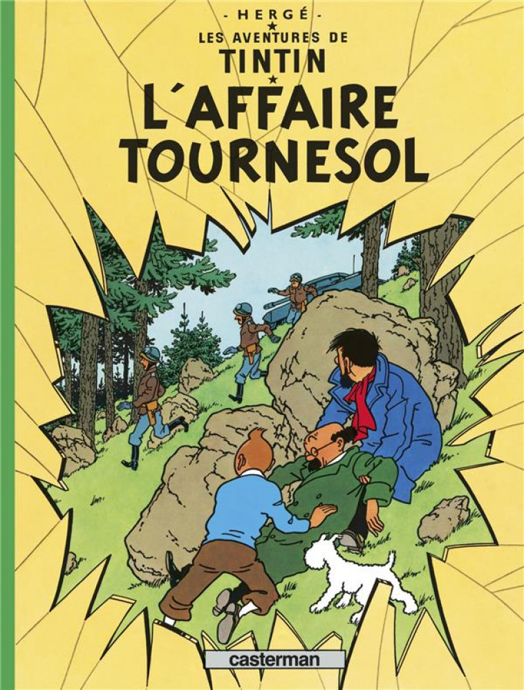 TINTIN - T18 - L-AFFAIRE TOURNESOL - HERGE - CASTERMAN