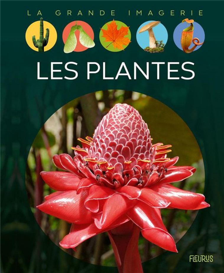 LES PLANTES - BOCCADOR/ALUNNI - FLEURUS