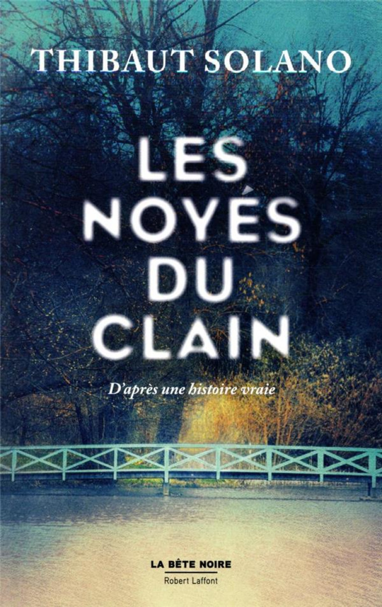 LES NOYES DU CLAIN - SOLANO THIBAUT - ROBERT LAFFONT