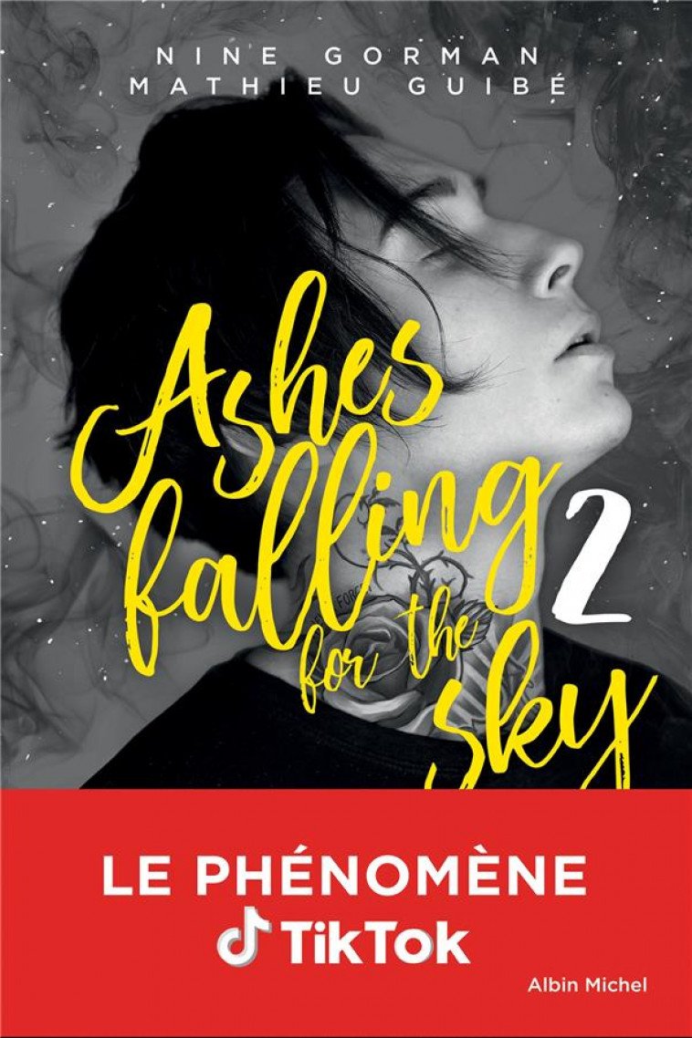 ASHES FALLING FOR THE SKY - TOME 2 - SKY BURNING DOWN TO ASHES - GORMAN/GUIBE - NC