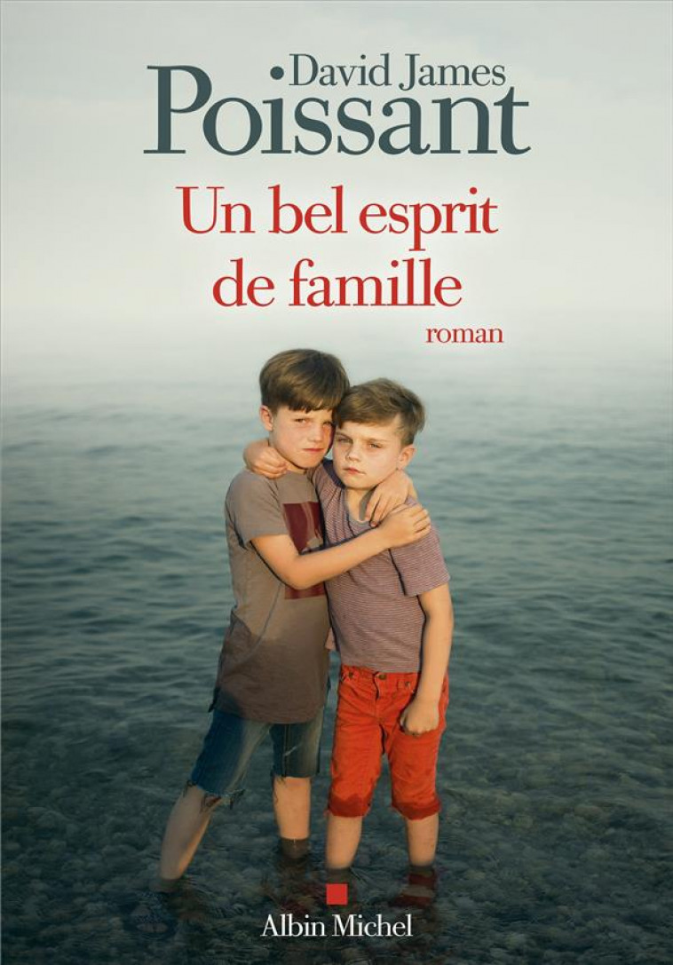 UN BEL ESPRIT DE FAMILLE - POISSANT DAVID JAMES - ALBIN MICHEL