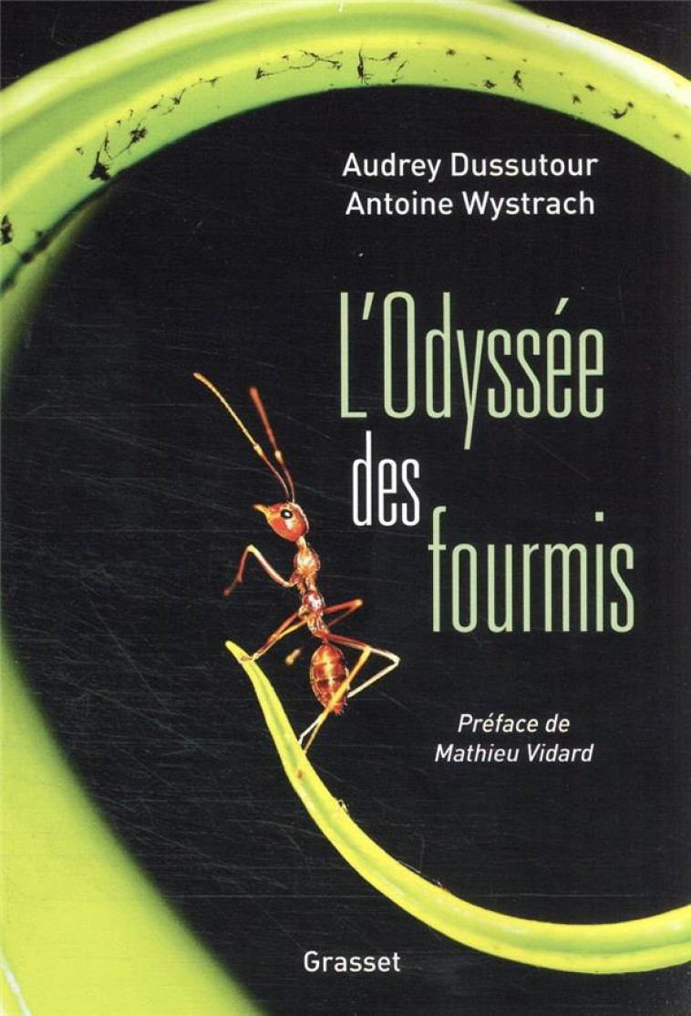 L-ODYSSEE DES FOURMIS - PREFACE DE MATHIEU VIDARD - DUSSUTOUR/WYSTRACH - GRASSET