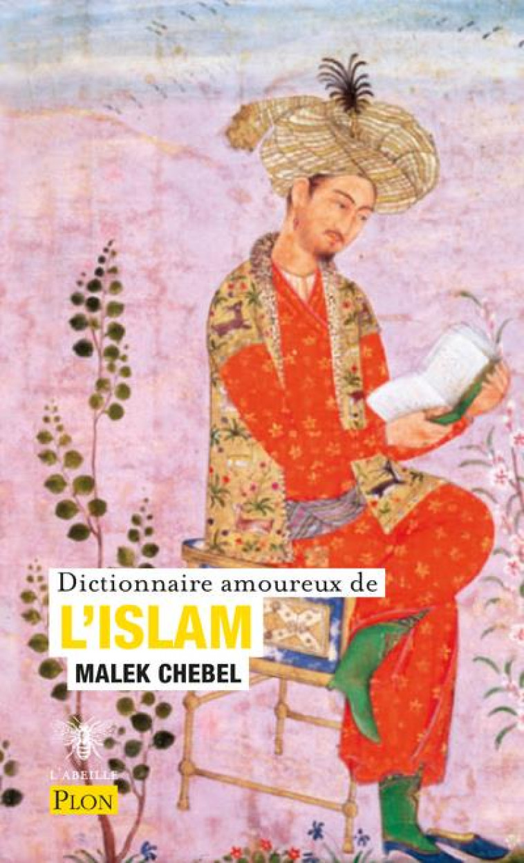 DICTIONNAIRE AMOUREUX DE L-ISLAM - CHEBEL MALEK - PLON