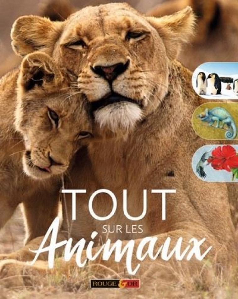 TOUT SUR LES ANIMAUX - WOODWARD/FARNDON - AN HERE