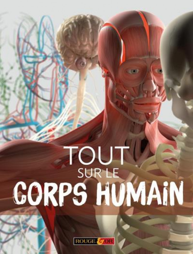 TOUT SUR LE CORPS HUMAIN - MACNAIR PATRICIA - AN HERE