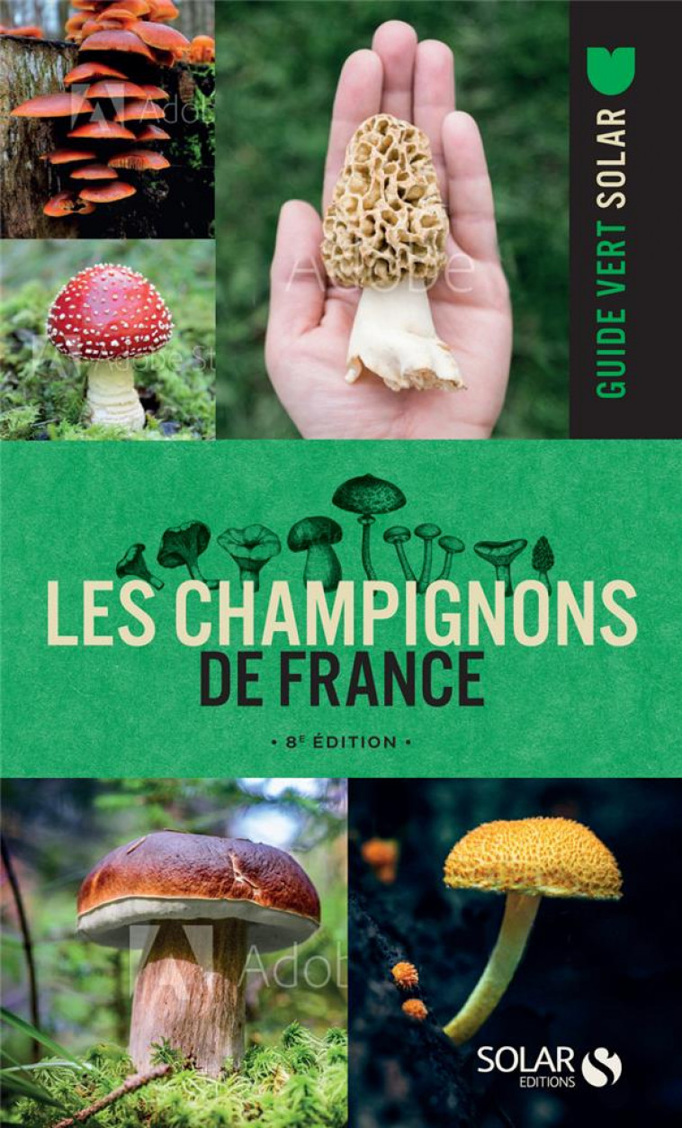 LES CHAMPIGNONS DE FRANCE - 8E EDITION - COLLECTIF - SOLAR