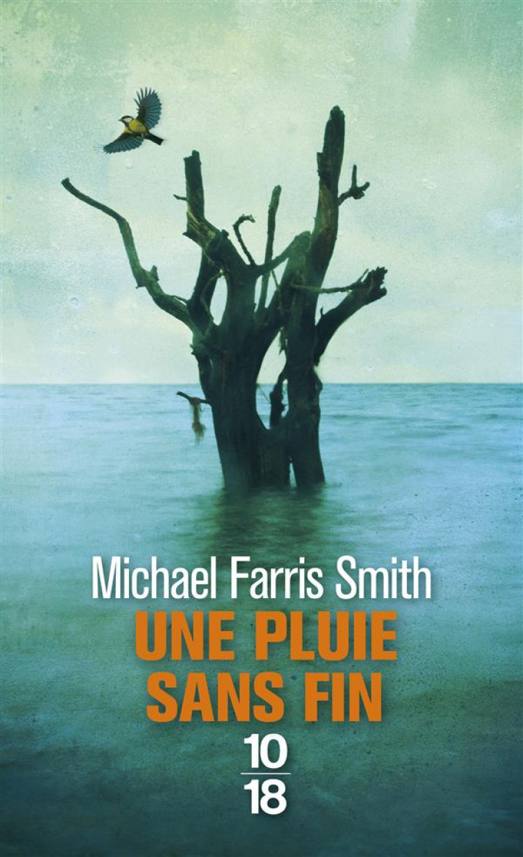 UNE PLUIE SANS FIN - SMITH MICHAEL FARRIS - 10-18