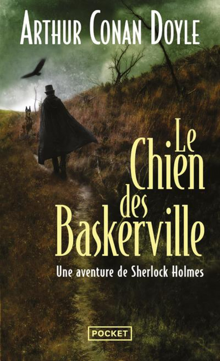 LE CHIEN DES BASKERVILLE - DOYLE ARTHUR CONAN - POCKET