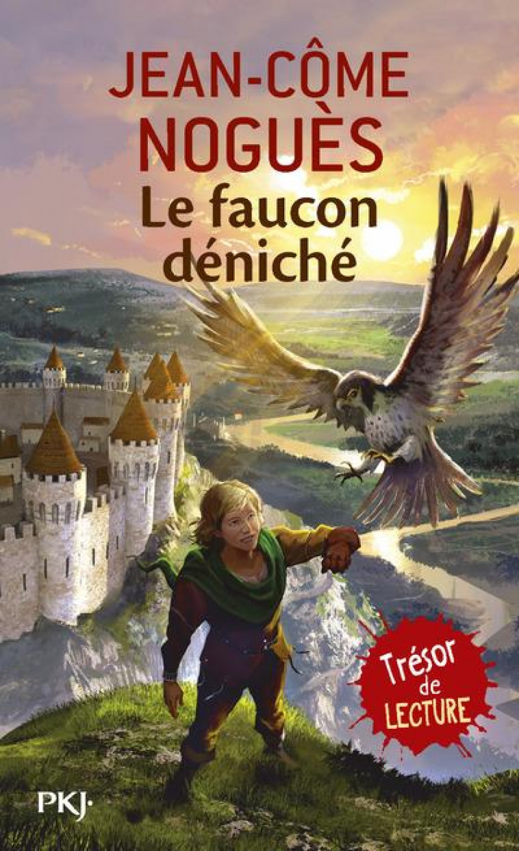 LE FAUCON DENICHE - VOL01 - NOGUES/DELVAL - POCKET