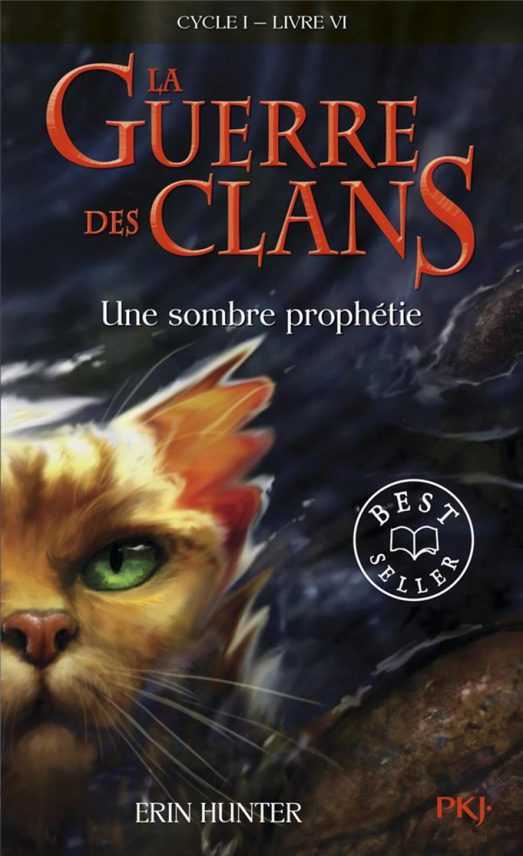 LA GUERRE DES CLANS - CYCLE I - TOME 6 UNE SOMBRE PROPHETIE -POCHE- - VOL06 - HUNTER ERIN - POCKET