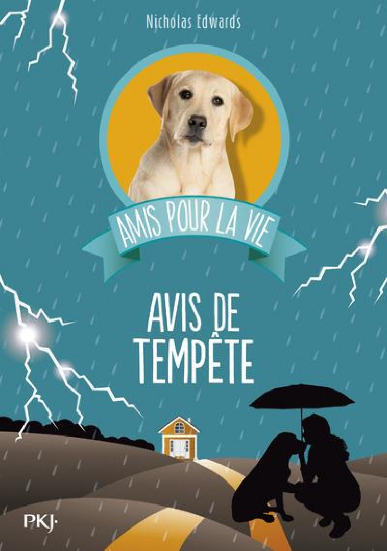 AMIS POUR LA VIE - TOME 2 AVIS DE TEMPETE - VOL02 - EDWARDS NICHOLAS - Pocket jeunesse