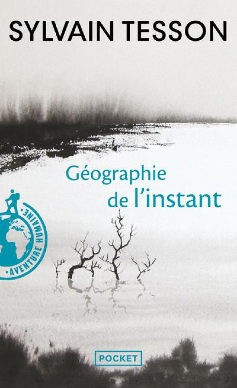 GEOGRAPHIE DE L-INSTANT - TESSON SYLVAIN - Pocket