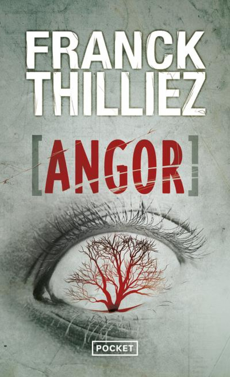 ANGOR - VOL04 - THILLIEZ FRANCK - Pocket