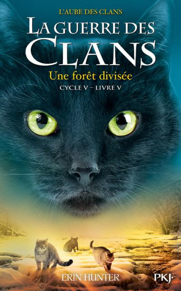 LA GUERRE DES CLANS - CYCLE V L-AUBE DES CLANS - TOME 5 UNE FORET DIVISEE - VOL05 - HUNTER ERIN - POCKET