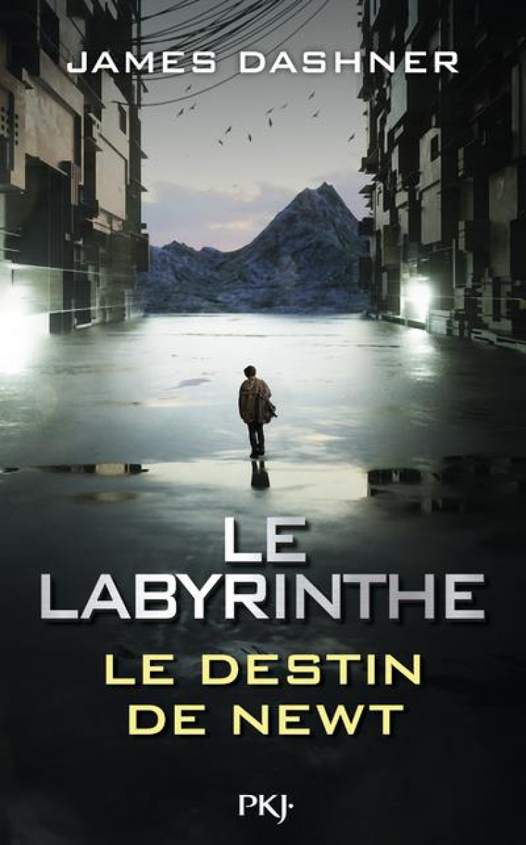 LE LABYRINTHE - LE DESTIN DE NEWT - DASHNER JAMES - POCKET