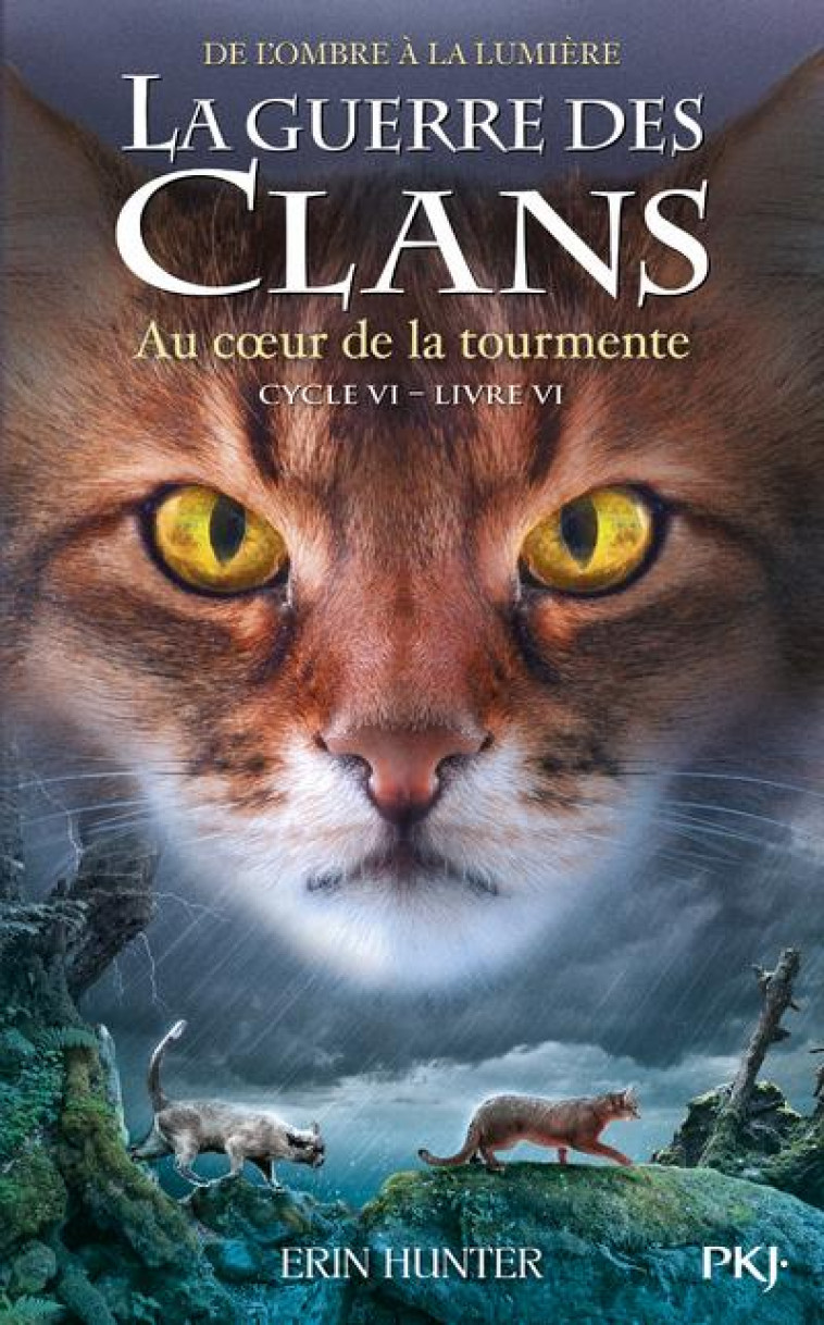 LA GUERRE DES CLANS, CYCLE VI - TOME 6 AU COEUR DE LA TOURMENTE - VOL36 - HUNTER ERIN - POCKET