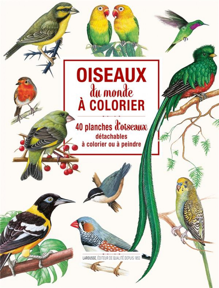 OISEAUX DU MONDE A COLORIER - 40 PLANCHES D-OISEAUX DETACHABLES A COLORIER OU A PEINDRE - XXX - NC