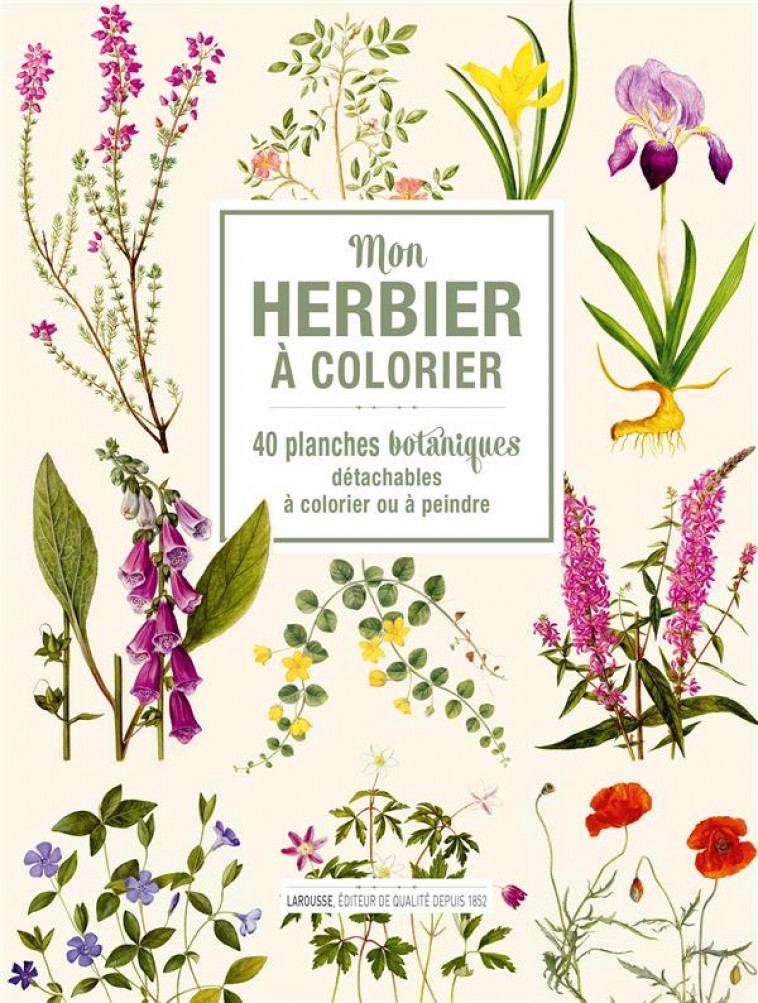 MON HERBIER A COLORIER - 40 PLANCHES BOTANIQUES DETACHABLES A COLORIER OU A PEINDRE - XXX - NC