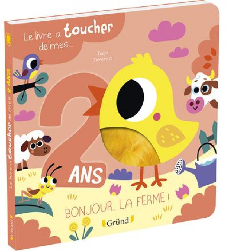 LE LIVRE A TOUCHER DE MES 2 ANS - LIVRE D-EVEIL AVEC 6 MATIERES - A PARTIR DE 2 ANS - AMERICO TIAGO - GRUND