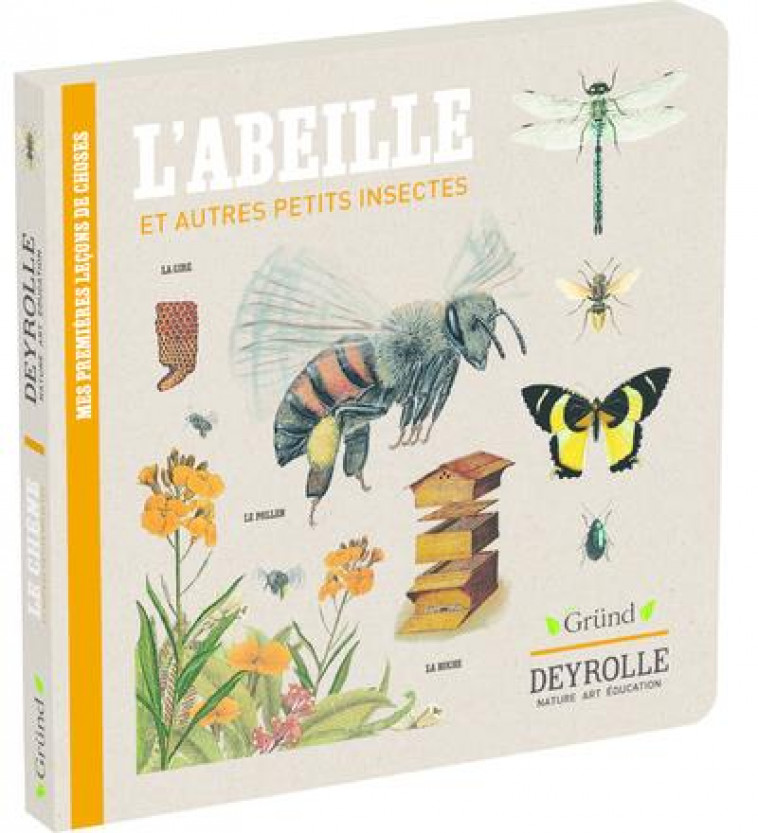 L-ABEILLE ET AUTRES PETITS INSECTES - DEYROLLE - PELISSIER/ALADJIDI - GRUND