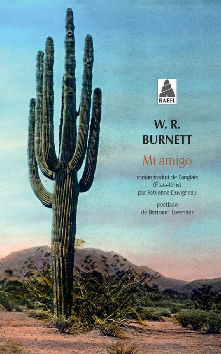 MI AMIGO - BURNETT/TAVERNIER - ACTES SUD