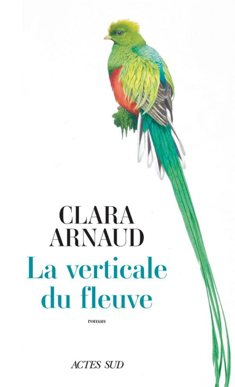 LA VERTICALE DU FLEUVE - ARNAUD CLARA - ACTES SUD