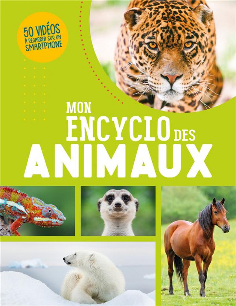 MON ENCYCLO DES ANIMAUX - COLLECTIF - 1 2 3 SOLEIL