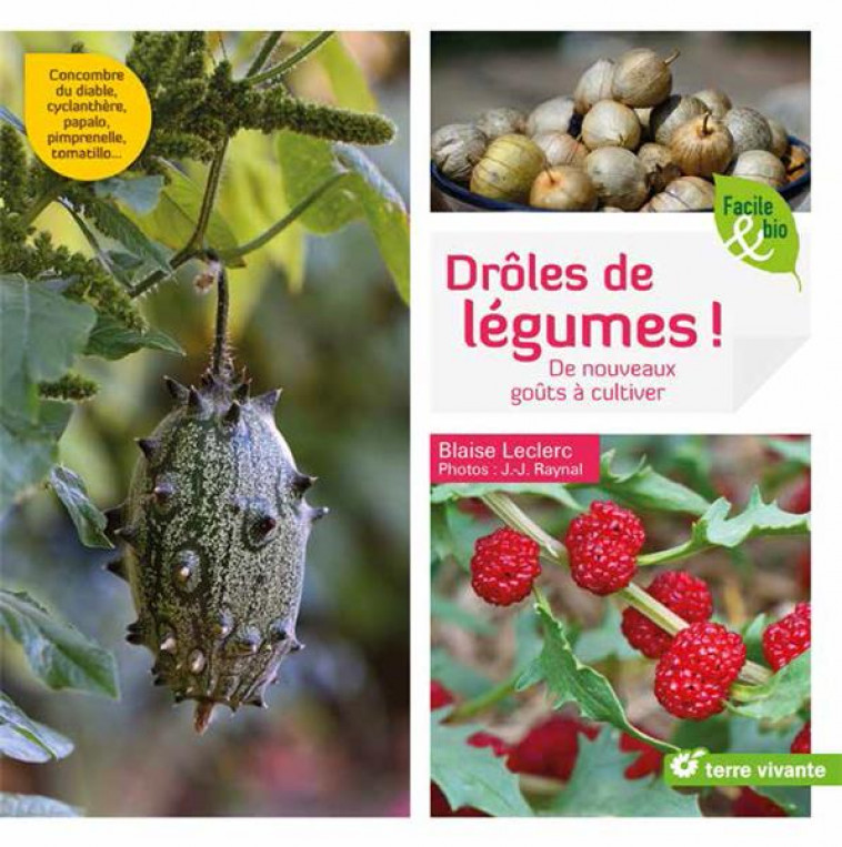 DROLES DE LEGUMES ! - DE NOUVEAUX GOUTS A CULTIVER - RAYNAL/LECLERC - TERRE VIVANTE