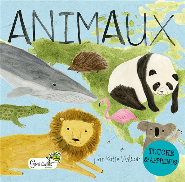 LES ANIMAUX - WILSON KATIE - GRENOUILLE