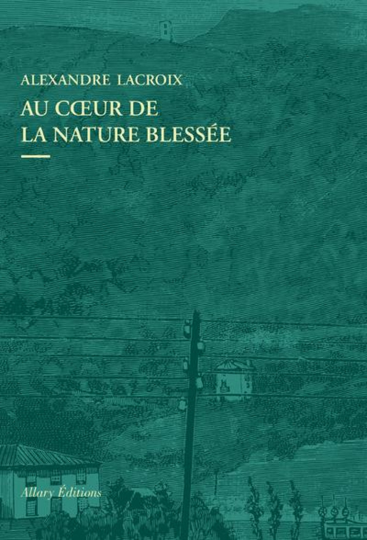 AU COEUR DE LA NATURE BLESSEE - APPRENDRE A VOIR LES PAYSAGES DU XXIE SIECLE - LACROIX ALEXANDRE - ALLARY