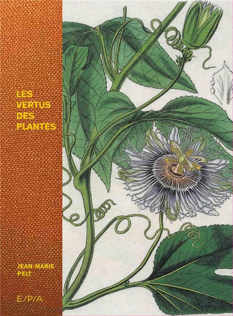 LES VERTUS DES PLANTES - PELT JEAN-MARIE - EPA