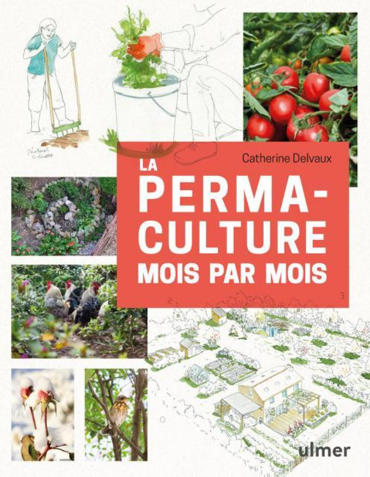 LA PERMACULTURE MOIS PAR MOIS - DELVAUX/LE TOQUIN - ULMER