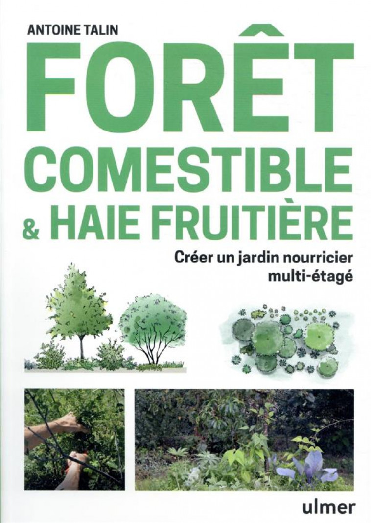 FORET COMESTIBLE & HAIE FRUITIERE - CREER UN JARDIN NOURRICIER MULTI-ETAGE - TALIN ANTOINE - ULMER