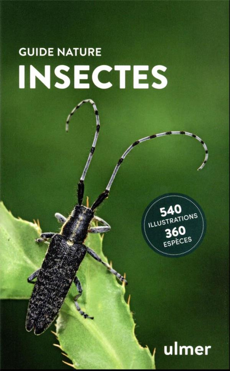 INSECTES - BELLMANN HEIKO - ULMER