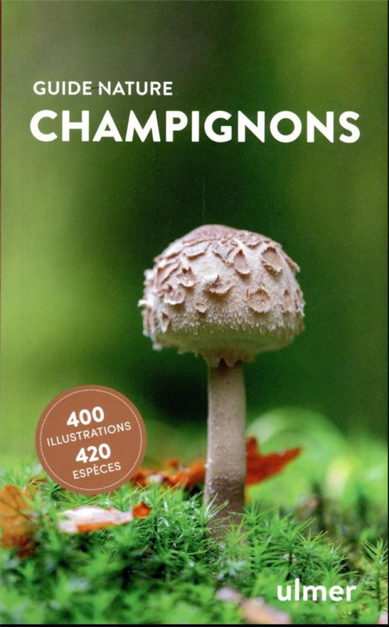 CHAMPIGNONS - GRUNERT - ULMER