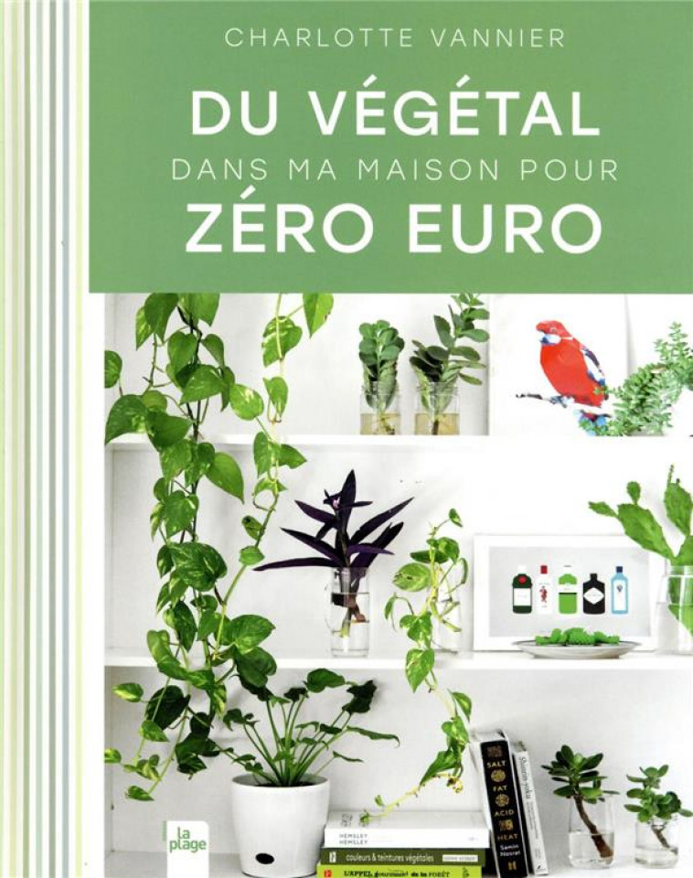 DU VEGETAL DANS MA MAISON POUR ZERO EURO - VANNIER CHARLOTTE - LA PLAGE