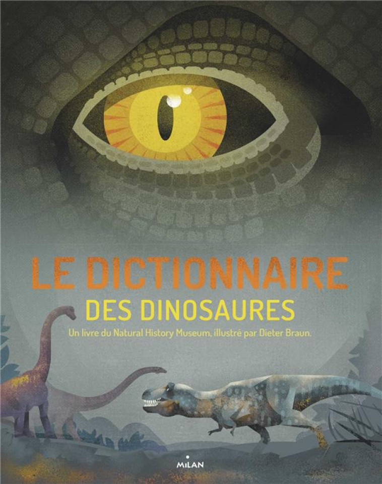 LE DICTIONNAIRE DES DINOSAURES - BRAUN DIETER - MILAN