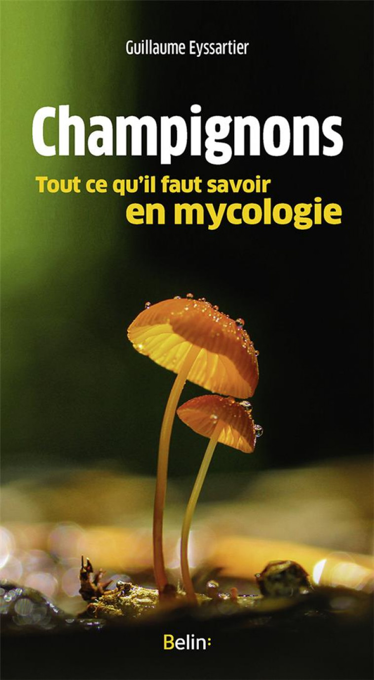 CHAMPIGNONS, TOUT CE QU-IL FAUT SAVOIR EN MYCOLOGIE - EYSSARTIER GUILLAUME - DORLING KINDERS