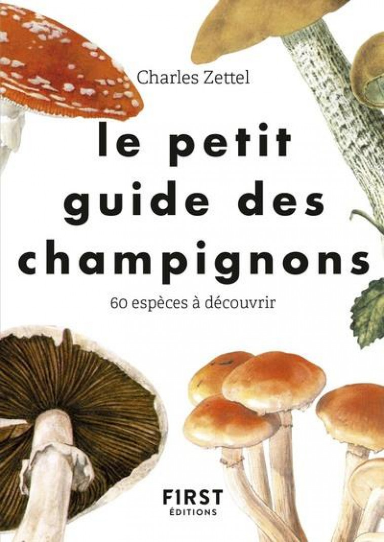 LE PETIT GUIDE DES CHAMPIGNONS - COLLECTIF - FIRST