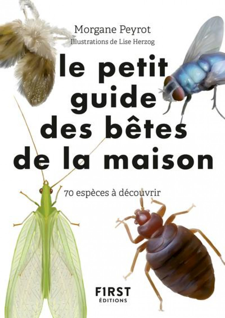 PETIT GUIDE D-OBSERVATION DES PETITES BETES DE LA MAISON - PEYROT/HERZOG - FIRST