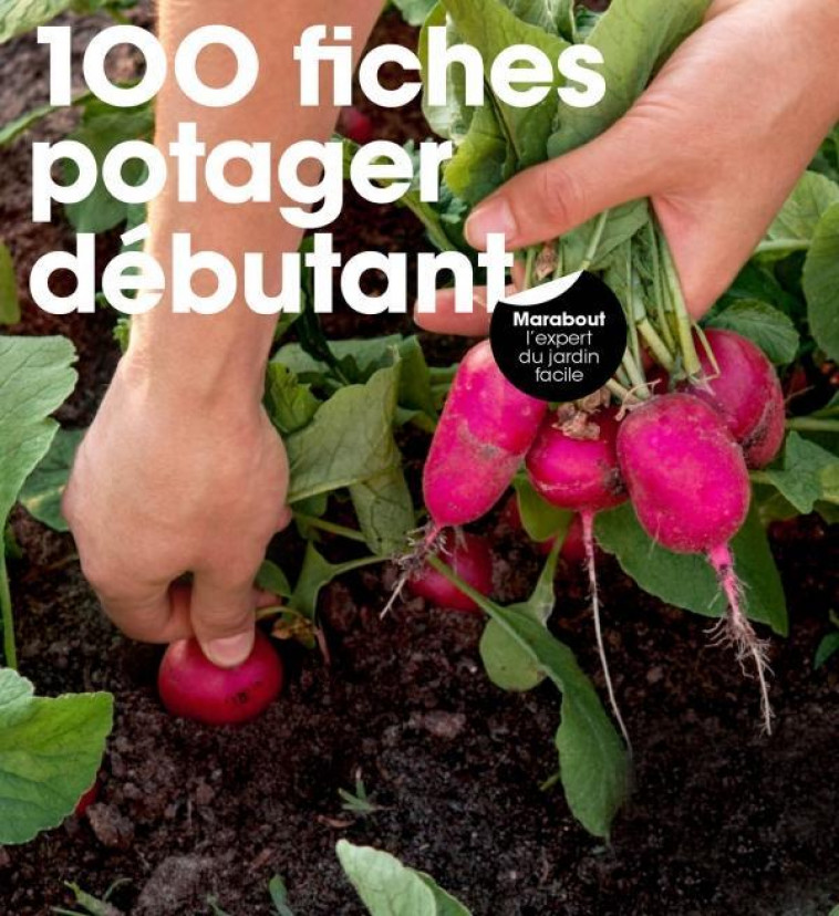 100 FICHES POTAGER DEBUTANT - 100 FICHES - MARABOUT