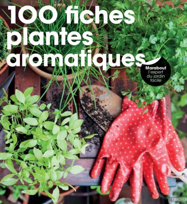 100 FICHES PLANTES AROMATIQUES - 100 FICHES - MARABOUT