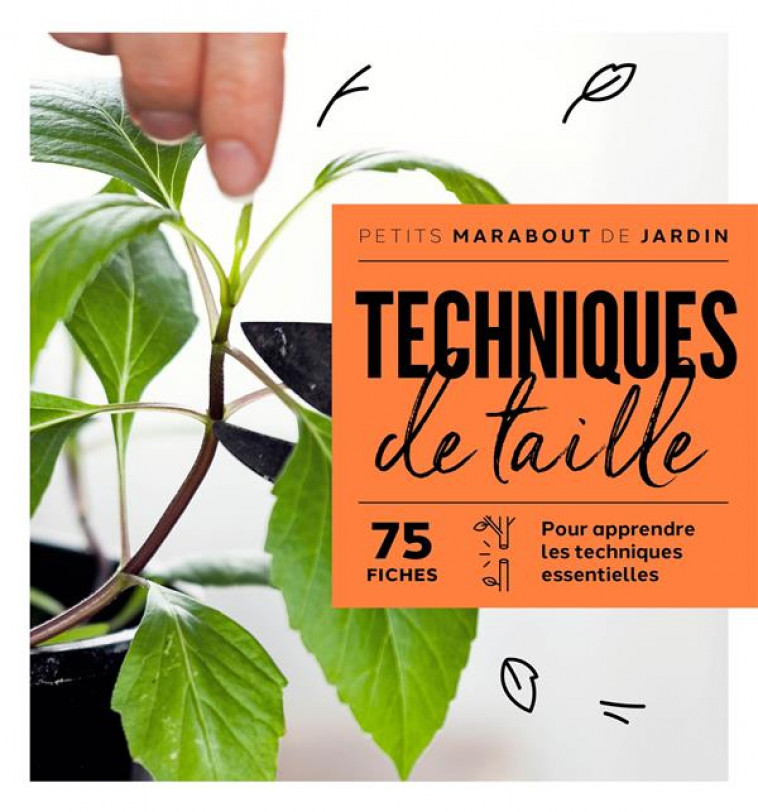 TECHNIQUES DE TAILLE - COLLECTIF - MARABOUT