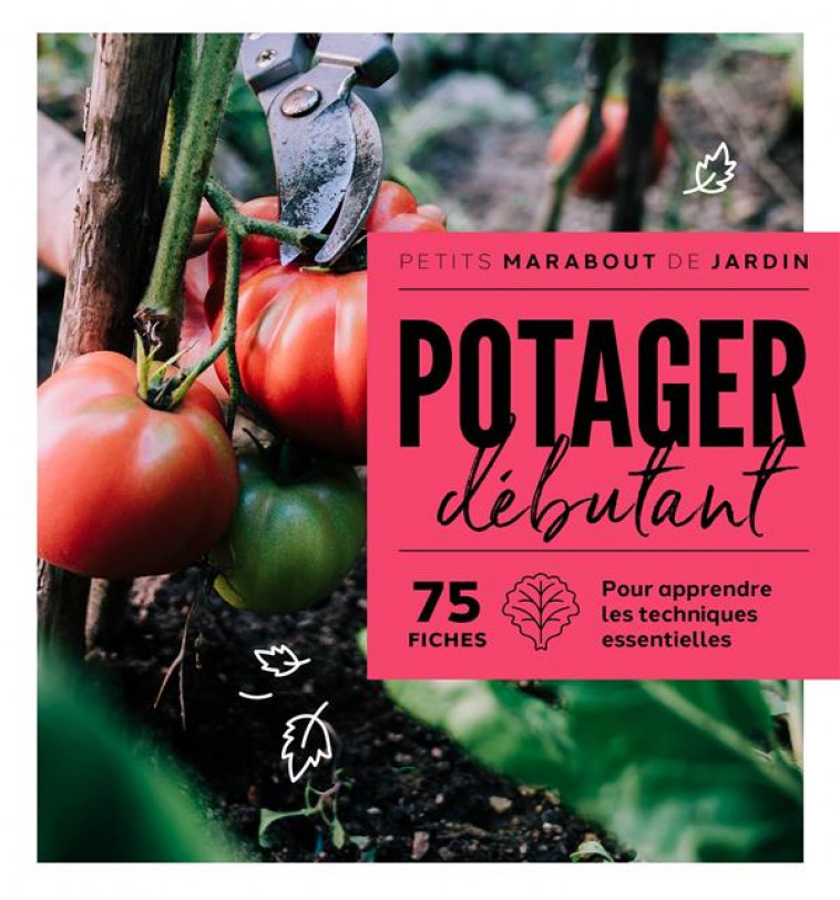 POTAGER DEBUTANT - COLLECTIF - MARABOUT