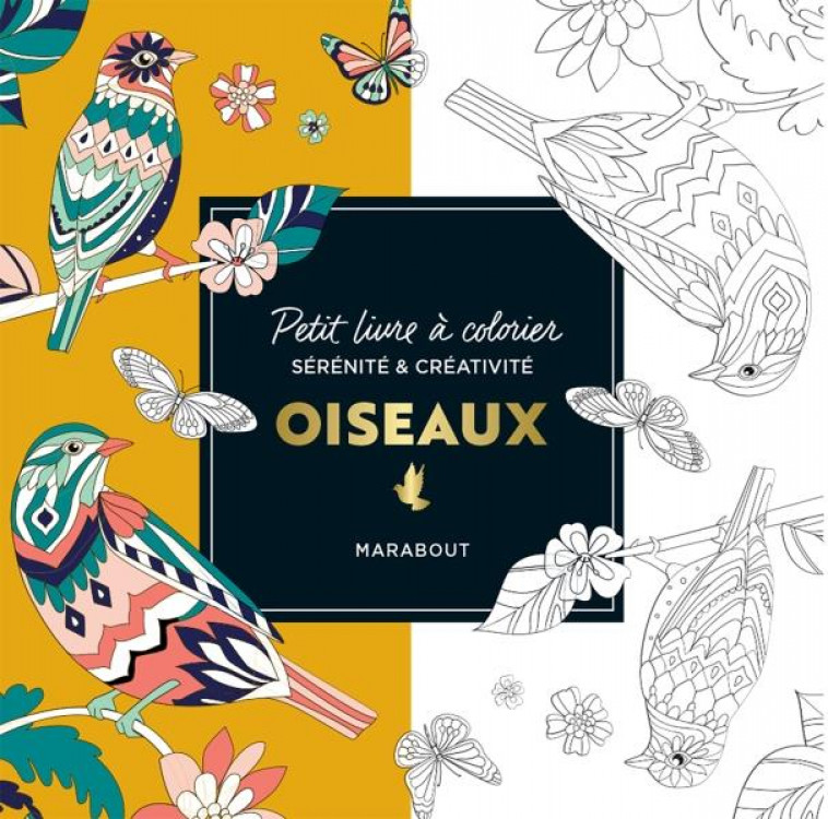 PETIT LIVRE A COLORIER - OISEAUX - COLLECTIF - MARABOUT