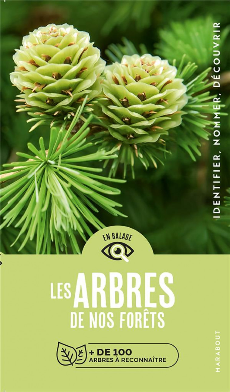 EN BALADE - LES ARBRES DE NOS FORETS - HECKER KATRIN - MARABOUT